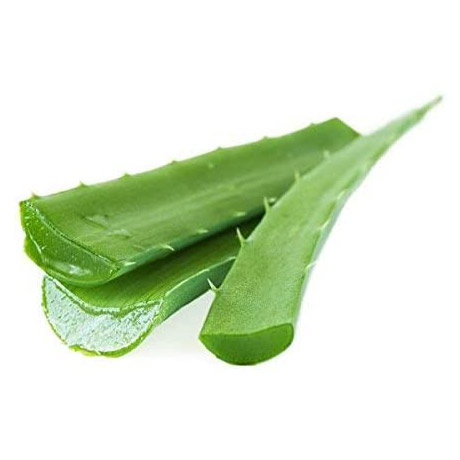 Aloe Vera Carrier Oil