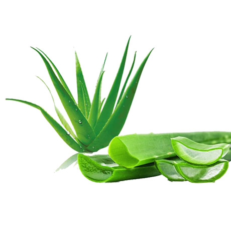 Aloe Vera Gel