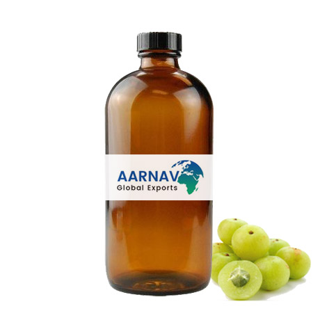 Amla Seed Oil - Virgin