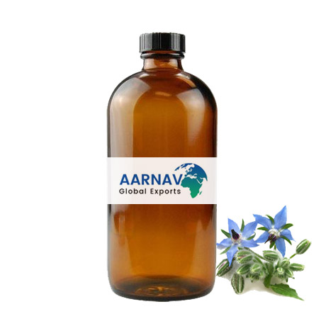 Borage Seed Carrier Oil