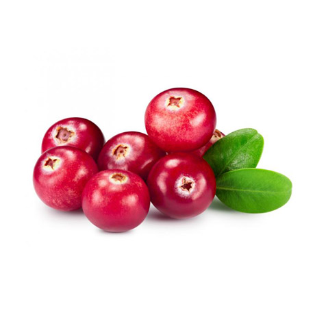 Cranberry Carrier Oil