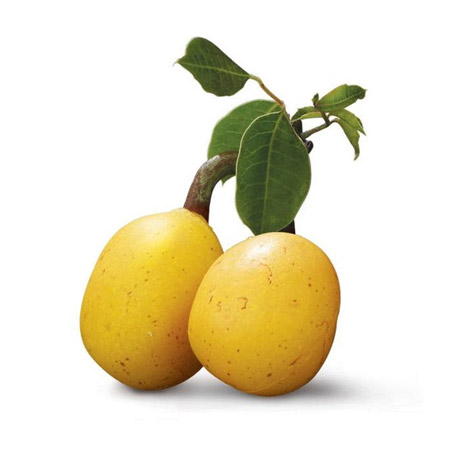 Marula Oil 