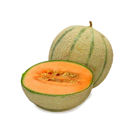 Muskmelon Oil 