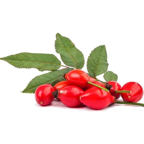 Rosehip Carrier Oil (Refined)