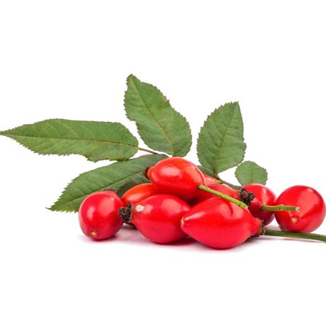 Rosehip Carrier Oil (Virgin)