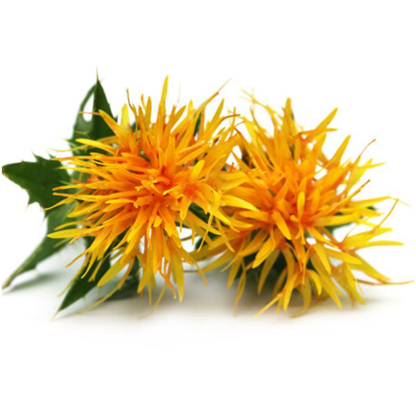 Safflower Seed Oil 