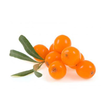 Sea Buckthorn Berry Oil 