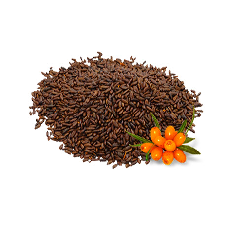 Sea Buckthorn Seed Oil 