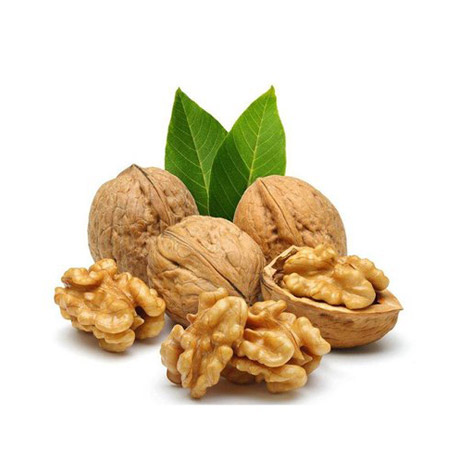 Walnut Oil 