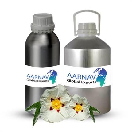 Labdanum  Essential Oil