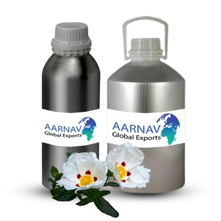 Certified Organic Labdanum Essential Oil