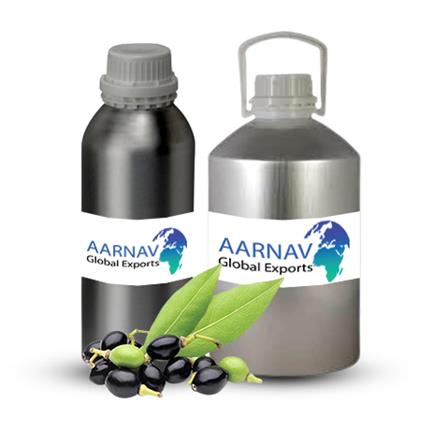 Certified Organic Laurel Berry Essential Oil
